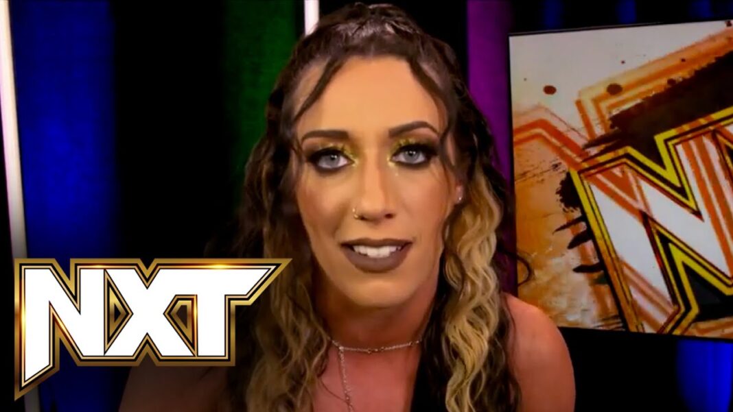 Jacy Jayne Suffers Injury And Removed From WWE NXT TV Programming