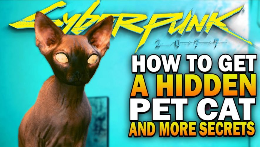 how-to-get-a-secret-pet-cat-more-secrets-in-cyberpunk-2077-cyberpunk2077