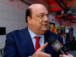 The Mastermind Behind the Roman Reigns and Paul Heyman Partnership in WWE Revealed
