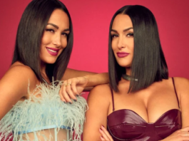The Bella Twins Ending Their Journey with WWE