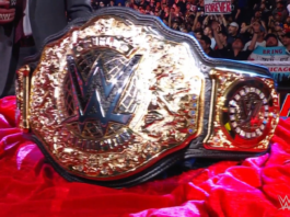 Behind the Scenes: Insights into the WWE's Decision to Reintroduce the World Heavyweight Title