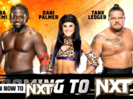 3 New Superstars Are Coming Soon to NXT