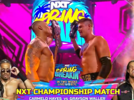 NXT Spring Breakin' to Feature Carmelo Hayes vs. Grayson Waller Championship Showdown