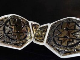 WWE's Decision to Discontinue NXT Women's Tag Team Titles: A Shift in the Landscape