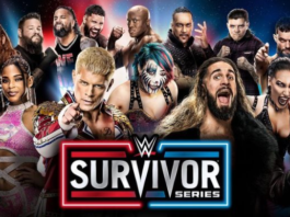 Survivor Series 23