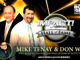 IMPACT's 2023 Hall of Fame Inductors Unveiled