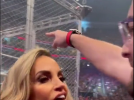 Trish Stratus Claps Back: A Fiery Response to a Fan's Taunt