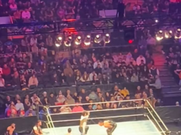 Sami Zayn's Triumphant Return to WWE at Madison Square Garden