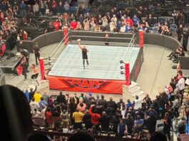 Cody Rhodes: A True Champion for WWE Fans