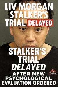 Liv Morgan Stalker’s Trial Postponed After New Mental Evaluation Ordered