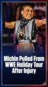 Michin Pulled From WWE Holiday Tour After Injury