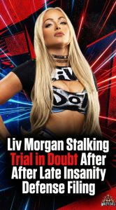 Liv Morgan Stalking Trial in Doubt After Late Insanity Defense Filing