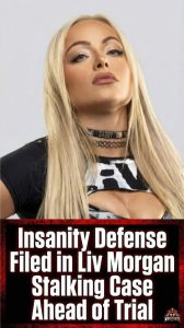 Insanity Defense Filed in Liv Morgan Stalking Case Ahead of Trial