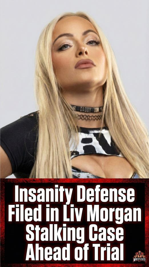 Insanity Defense Filed in Liv Morgan Stalking Case Ahead of Trial