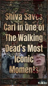 Shiva Saves Carl in One of The Walking Dead’s Most Iconic Moments