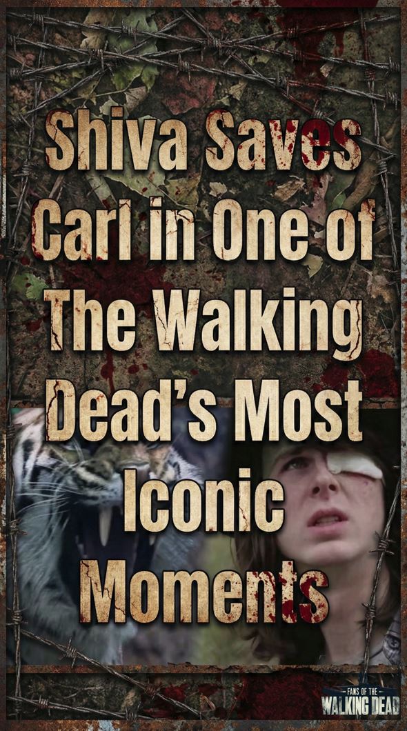 Shiva Saves Carl in One of The Walking Dead’s Most Iconic Moments