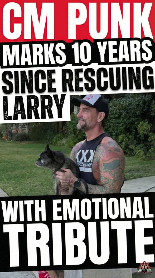CM Punk Marks 10 Years Since Rescuing Larry with Emotional Tribute