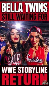 Bella Twins Still Waiting for WWE Storyline Return