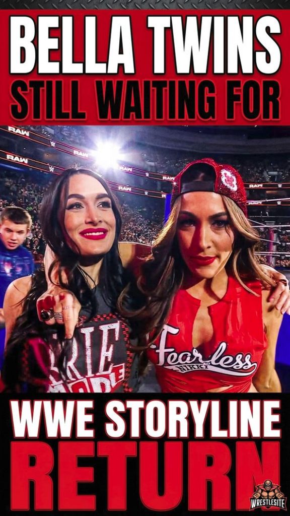 Bella Twins Still Waiting for WWE Storyline Return