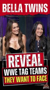 Bella Twins Reveal WWE Tag Teams They Want to Face