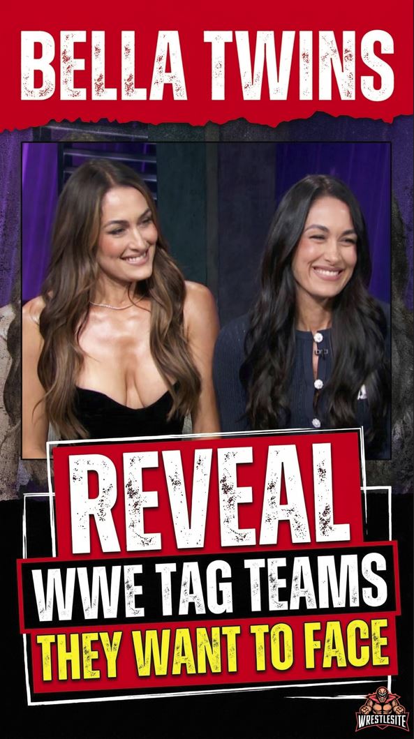 Bella Twins Reveal WWE Tag Teams They Want to Face