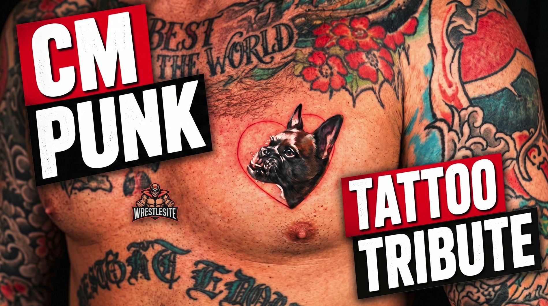 CM Punk Honors Late Dog Larry With New Tattoo 5 ascdewfgvf