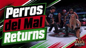 Perros del Mal Reforms in AAA With New Members
