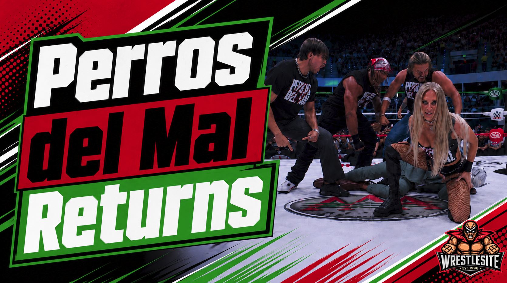 Perros del Mal Reforms in AAA With New Members 5 Perros del Mal attacks El Grande Americano during AAA segment with new faction members revealed