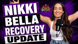 Nikki Bella Shares Injury Recovery Update 19 Nikki Bella discusses ankle injury recovery and possible WWE return after positive rehab progress