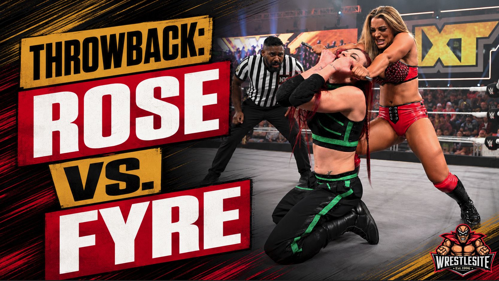 Mandy Rose battles Alba Fyre during WWE NXT Women’s Championship Last Woman Standing match