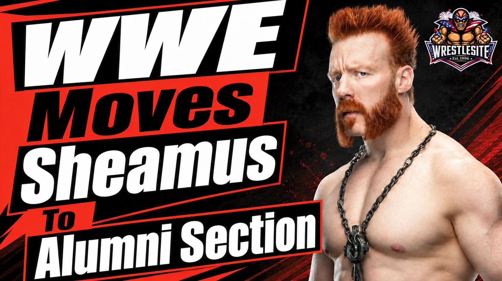 Sheamus Moved To WWE Alumni Section 5 Sheamus appears on WWE programming as his profile moves to Alumni after contract exit reports surface