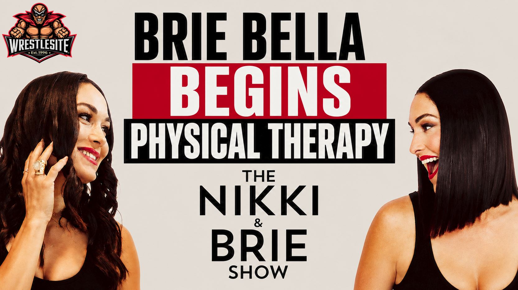 Brie Bella discusses physical therapy and recovery after breaking her scapula during WWE SummerSlam action
