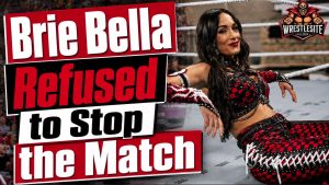Brie Bella Refused to Let Injury End SummerSlam Match