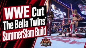 Bella Twins Reveal WWE Cut SummerSlam Package