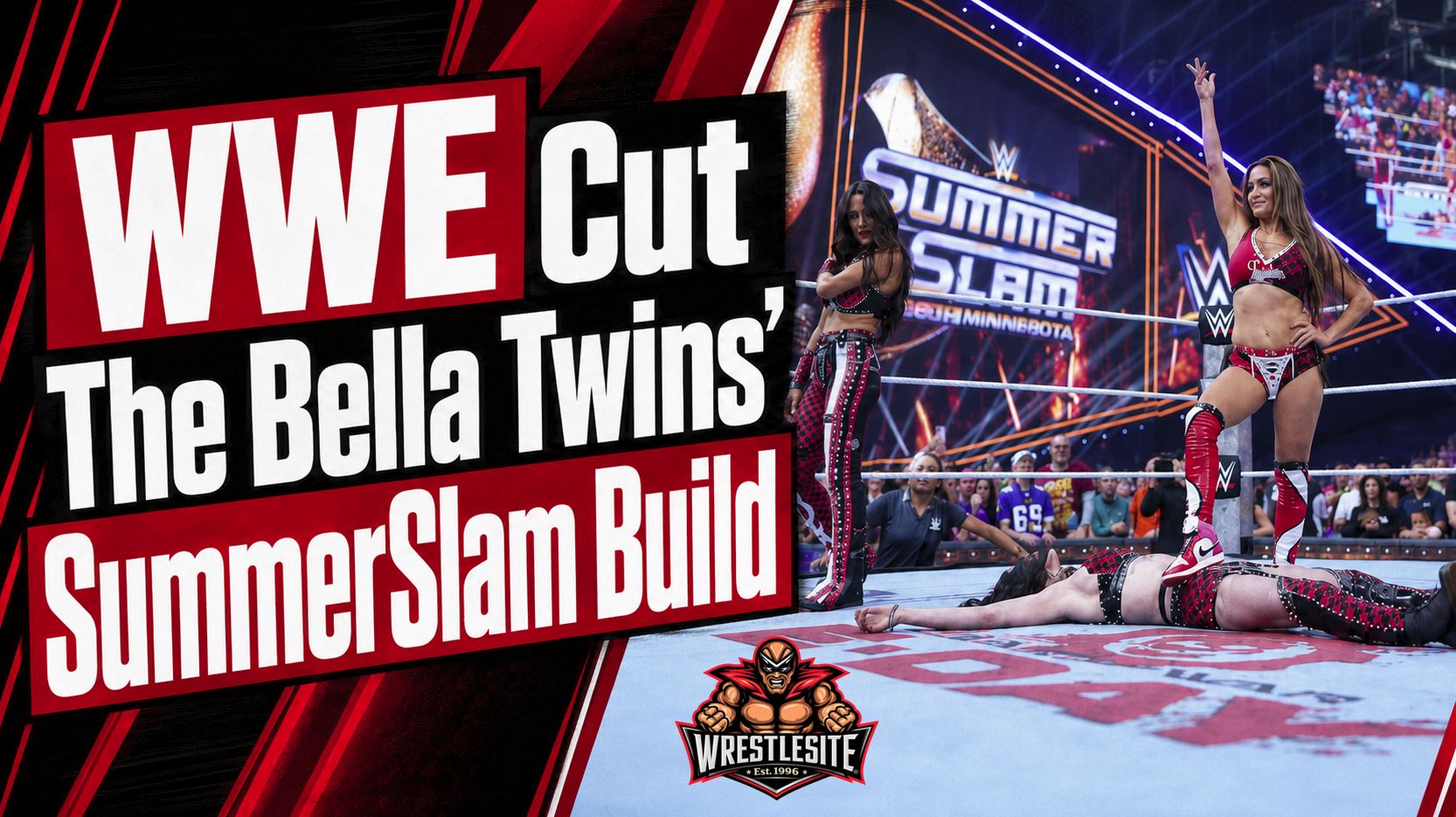 Nikki and Brie Bella discuss WWE cutting their video package before their SummerSlam match