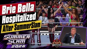 Brie Bella Hospitalized After Suffering SummerSlam Injury