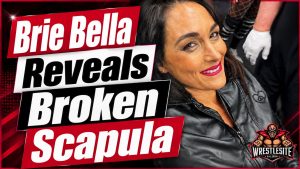Brie Bella Reveals Injury That Sent Her to the Hospital