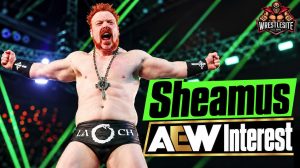 Sheamus AEW Interest Reportedly Emerging After WWE Exit